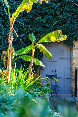  Propri�t�/ch�teau � vendre 15 + pi�ces 800 m�