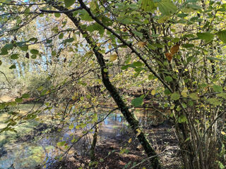  Terrain  vendre 6660 m