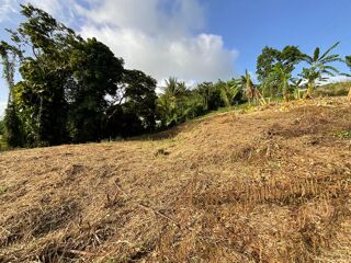  Terrain  vendre 1111 m