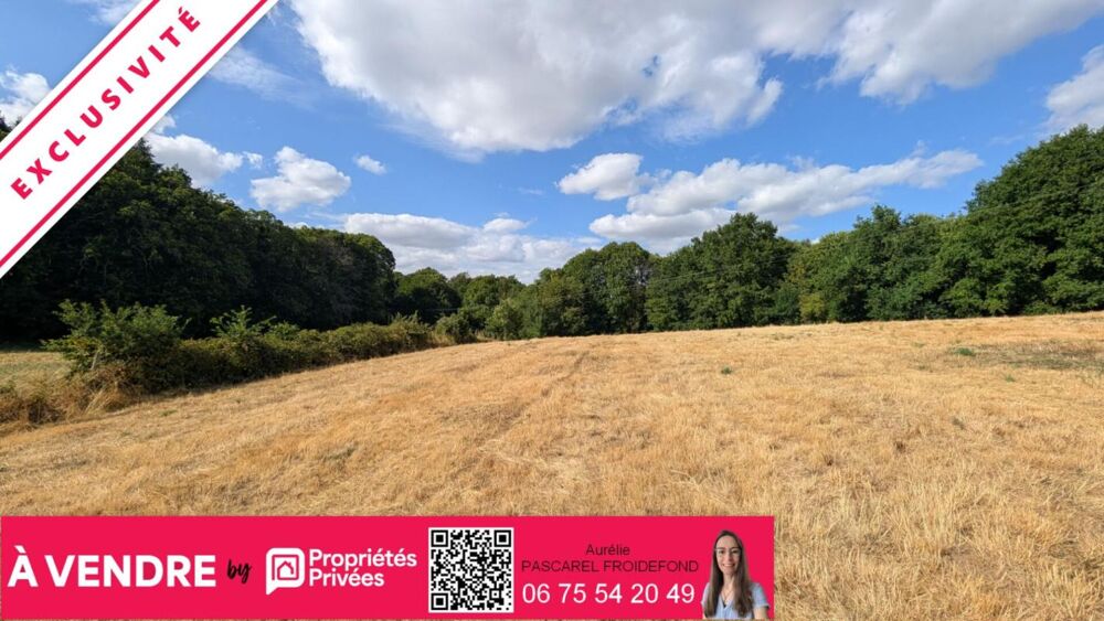 Vente Terrain EXCLUSIVITE - Terrain à bâtir d'environ 8900m² - Secteur Hippodrome Pompadour (19230) Arnac pompadour