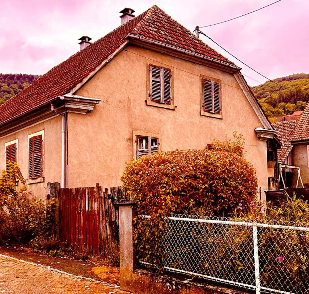 Spécial investisseurs , Saint-Amarin 68550, 7 pièces, 155 m2, terrain 5,8 ares