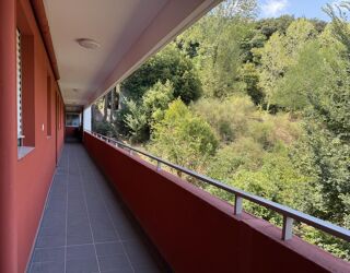  Appartement � vendre 2 pi�ces 42 m�