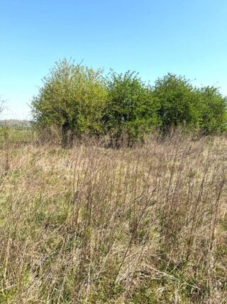  Terrain � vendre 503 m�