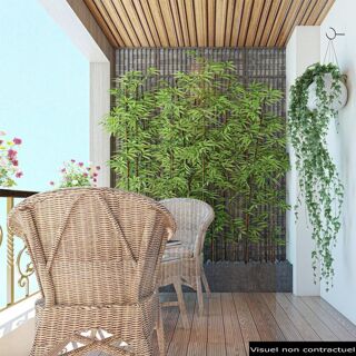  Appartement � vendre 2 pi�ces 41 m�