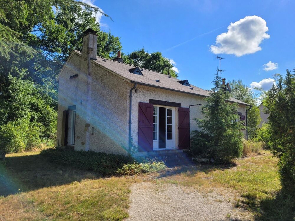 Maison / Pavillon 74 m2 + Combles aménagés NANCAIS ( 18 )