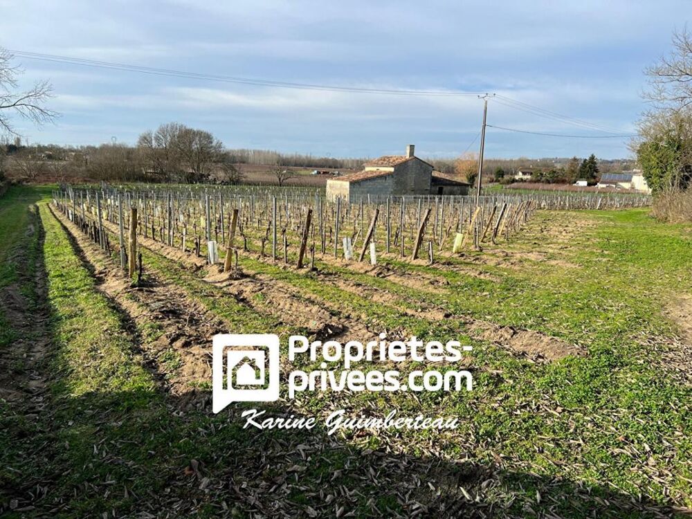 Vente Remise/Grange Petite proprit viticole AOC CANON FRONSAC Fronsac
