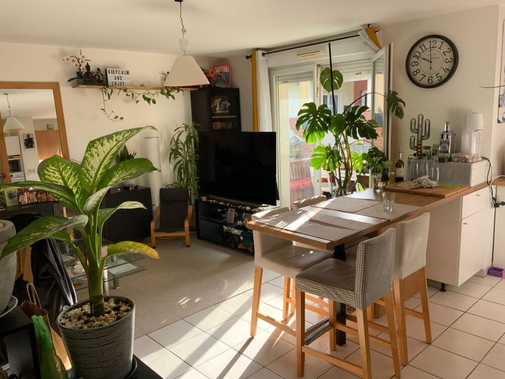 Location Appartement Appartement de 61m2 à louer sur Aucamville Aucamville