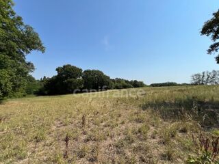  Terrain à vendre 11342 m²