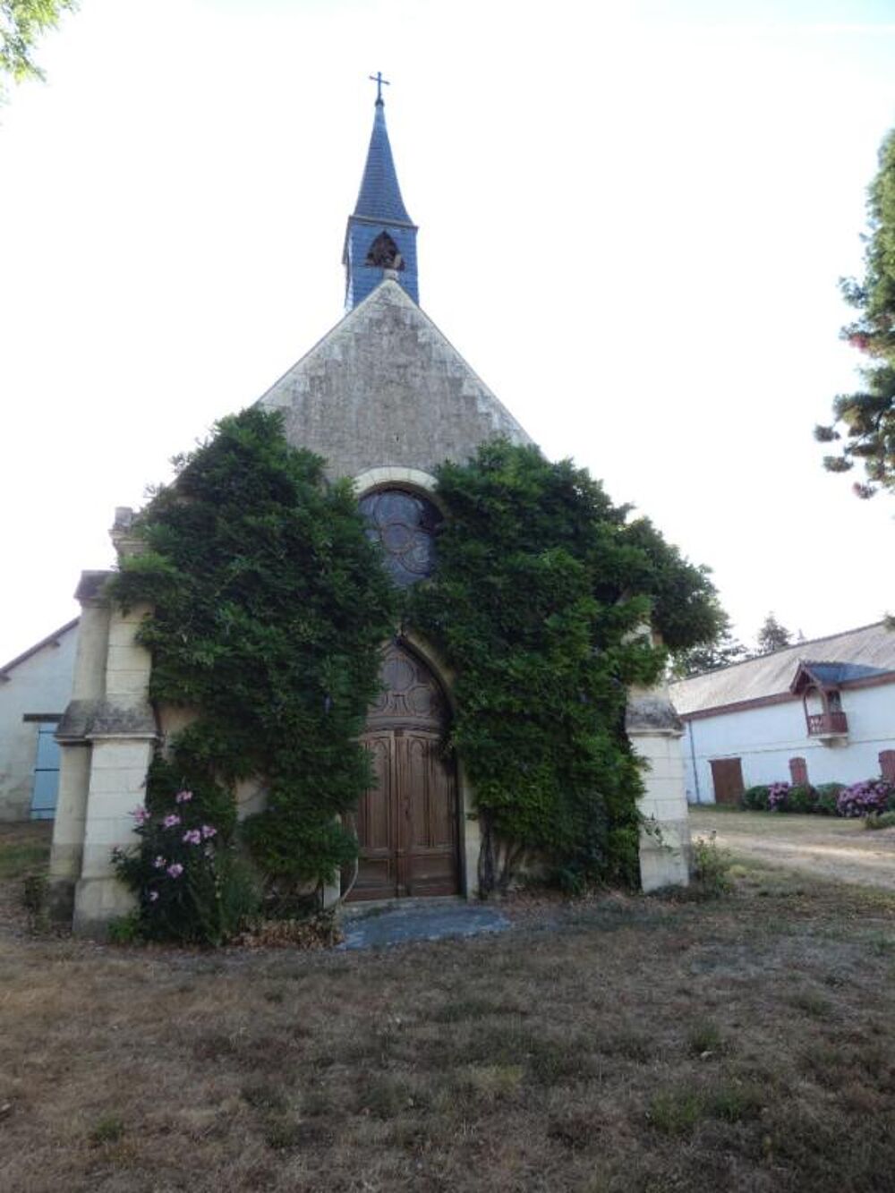 à vendre  Propriété/château Villeloin-Coulangé (37460)