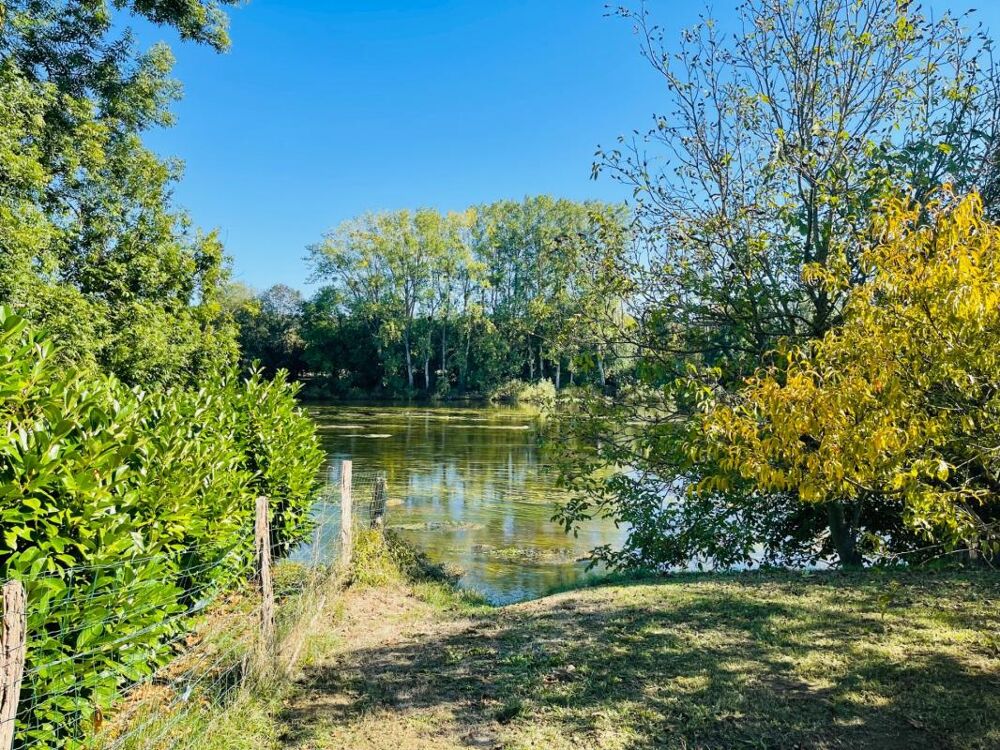 Vente Terrain Terrain à vendre * Au bord de la Vienne * Un Véritable Havre de Paix * Terrain Arboré de 1 269 m²  CHAUVIGNY (86) Chauvigny