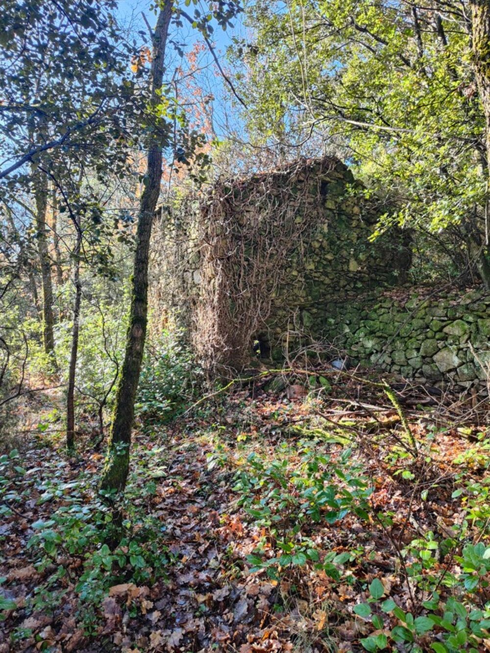 Vente Terrain Terrain à vendre de 9 375,00 m² GRAISSESSAC (34) Graissessac