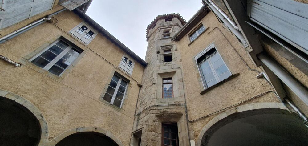 Vente Hôtel particulier EXCLUSIVITE ! Investissez dans l'histoire ! Un hôtel particulier avec tour classée du XVe siècle, 7 appartements, un local comme Carcassonne