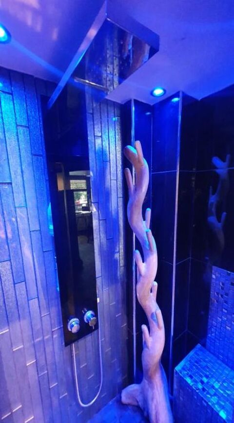  Appartement � louer 1 pi�ce 12 m�