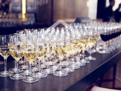 Fonds de commerce – Restaurant id&eacute;alement situ&eacute; en cœur de ville &agrave; Ch&acirc;telaillon 245000 17340 Chatelaillon plage