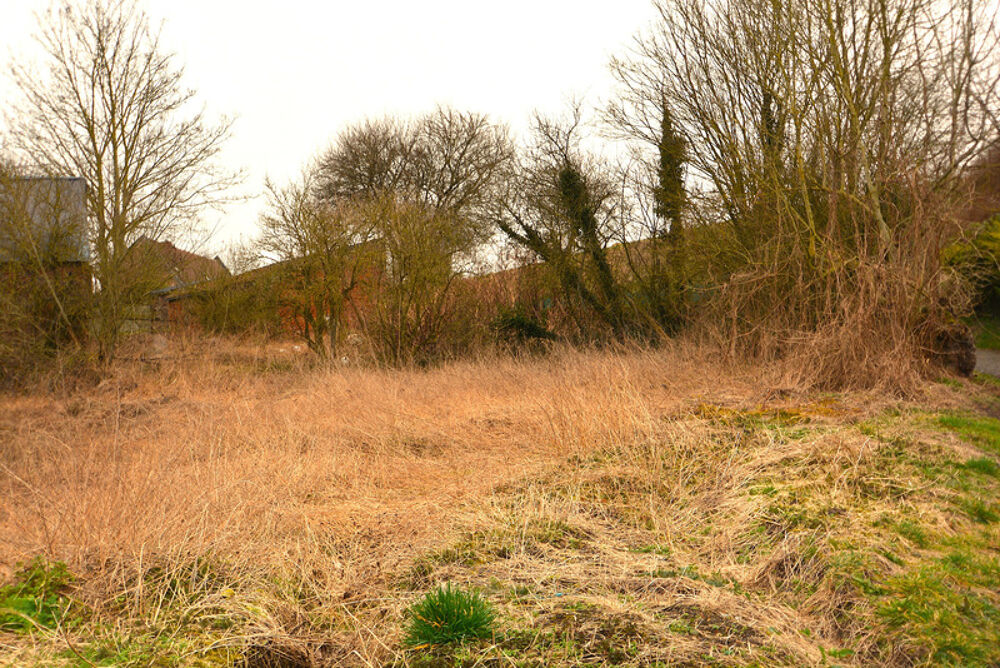 Vente Terrain Terrain constructibe à vendre  ORSINVAL (59), 958 m² Orsinval