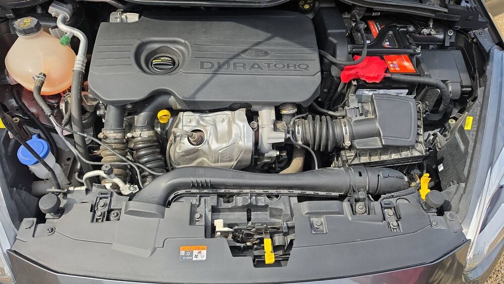 Fiesta 1.5 TDCi 85 Titanium 2018 occasion 33220 Saint Philippe Du Seignal