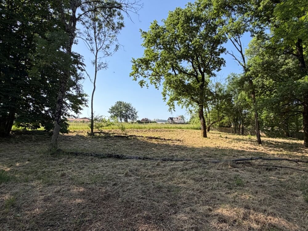 Vente Terrain TERRAIN A BATIR Ancerville