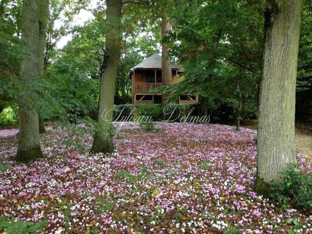 à vendre  Propriété/château Amboise (37400)
