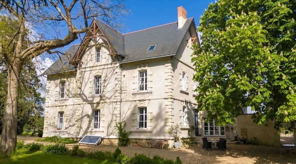 Propriete à vendre 11 pièces LANGEAIS (37)