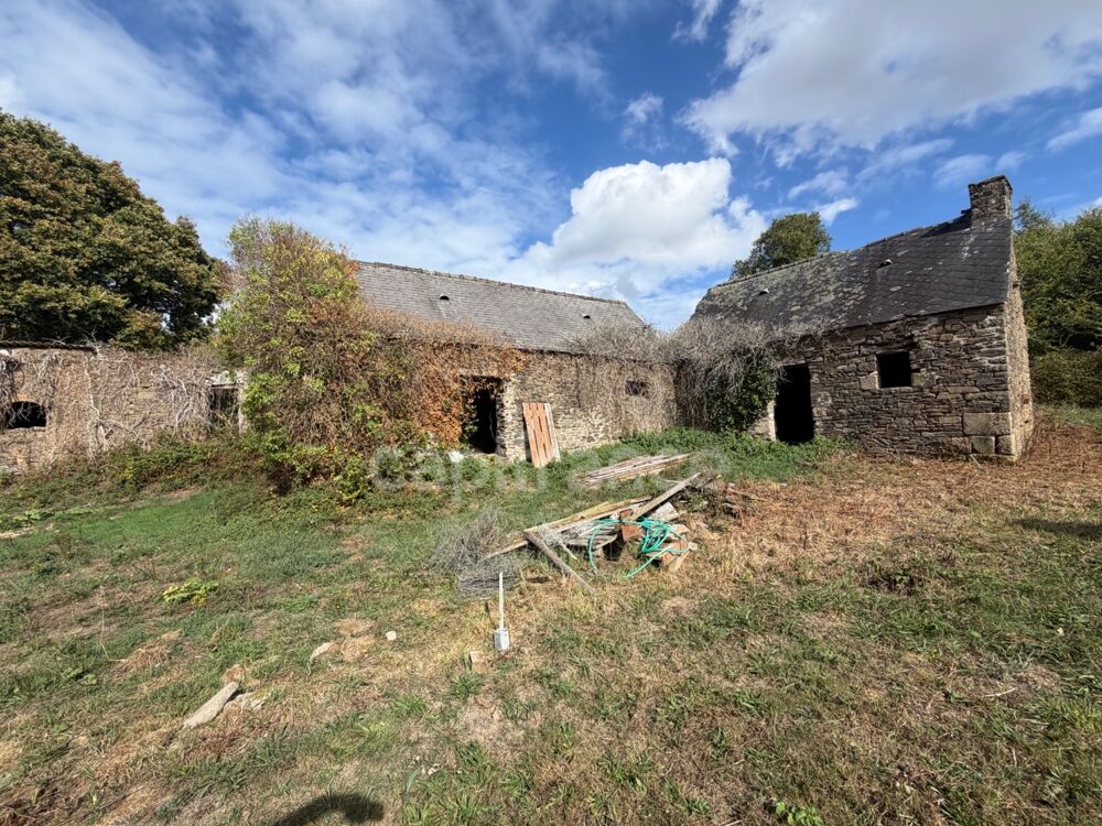 Vente Maison EXCLUSIVITÉ - TREBRIVAN - Maison avec terrain de plus de 2 hectares et dépendances à vendre 5 pièces  (22) Trebrivan
