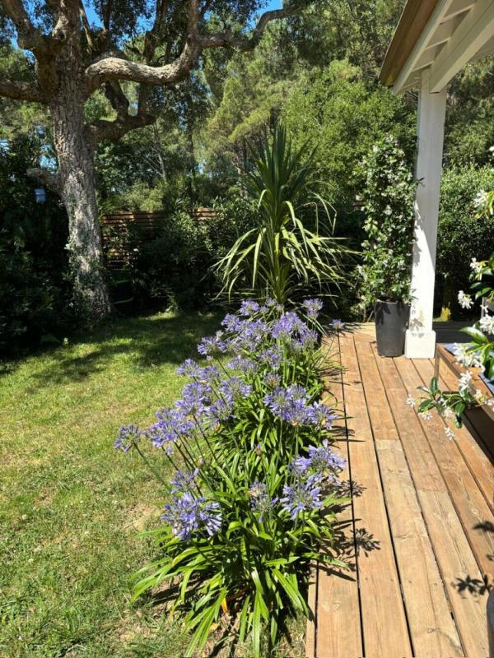 Vente Maison Maison Capbreton 3 pièce(s) 60 m2 Capbreton