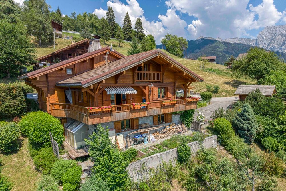 Chalet à vendre en viager occupé - Vue panoramique - MANIGOD (74)