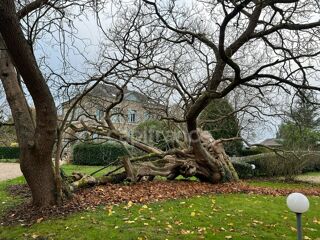  Appartement � vendre 4 pi�ces 90 m�