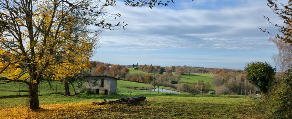 Vente Maison Dpt Corrèze (19), à vendre ESTIVAUX propriete P7 Estivaux