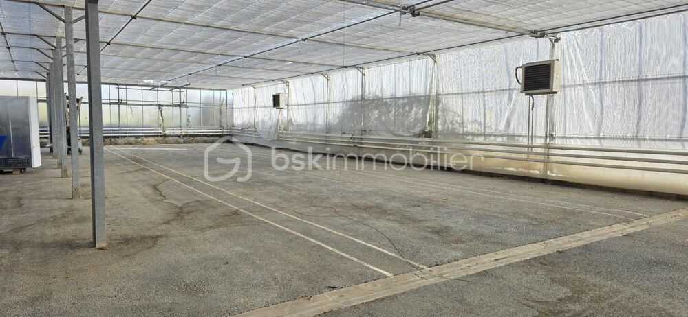 Vente Terrain Terrain agricole avec Bâtiments – Zone Ah – 17 000 m² – Proche Angers Angers