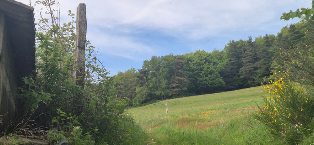 Vente Remise/Grange Bâtiment agricole vendre 3 pièces LE MALZIEU FORAIN (48) Le malzieu forain