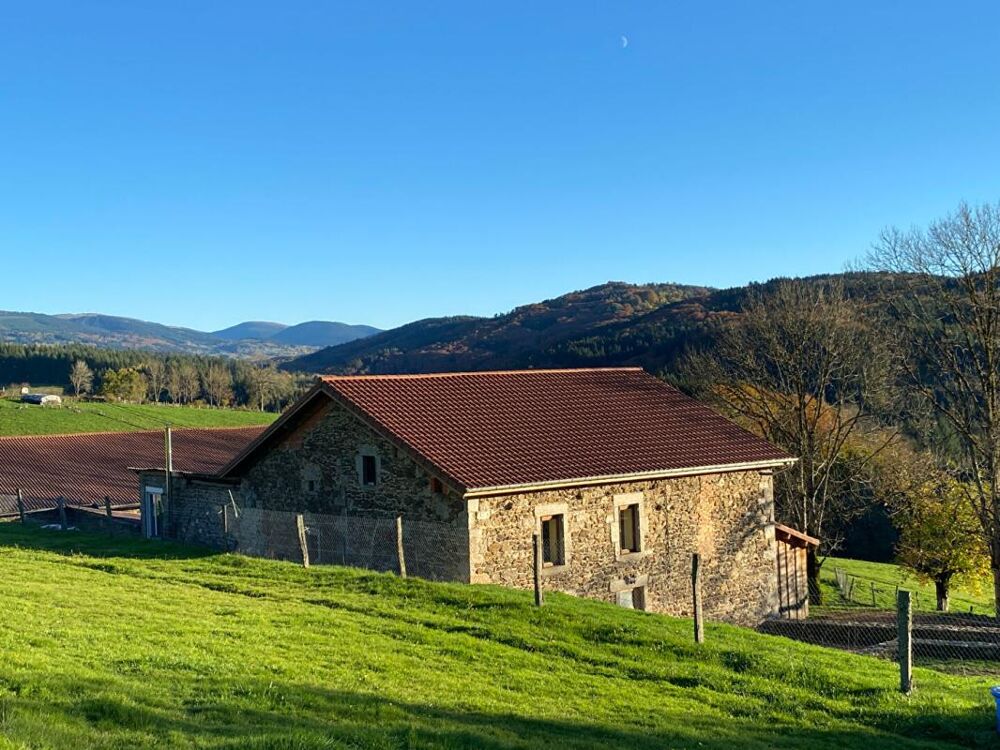Vente Maison Corps de ferme 6 pièce(s) 350 m2 environ + terrain 27ha avec sources + dépendances Courpiere