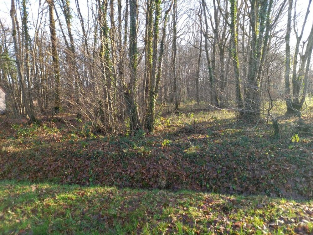 Vente Terrain Terrain à vendre de 2 370,00 m² SAINT HILAIRE LES ANDRESIS (45) Saint hilaire les andresis
