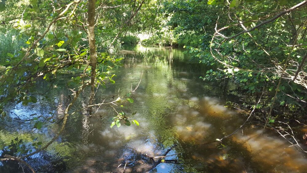 � vendre  Propri�t�/ch�teau Brinon-sur-Sauldre (18410)