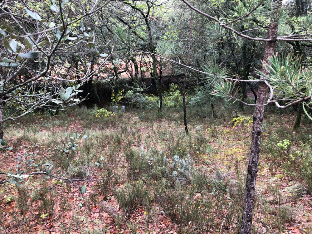 Vente Terrain Terrain à vendre  SAINT SATURNIN LES APT (84) - Libre de constructeur Saint saturnin les apt