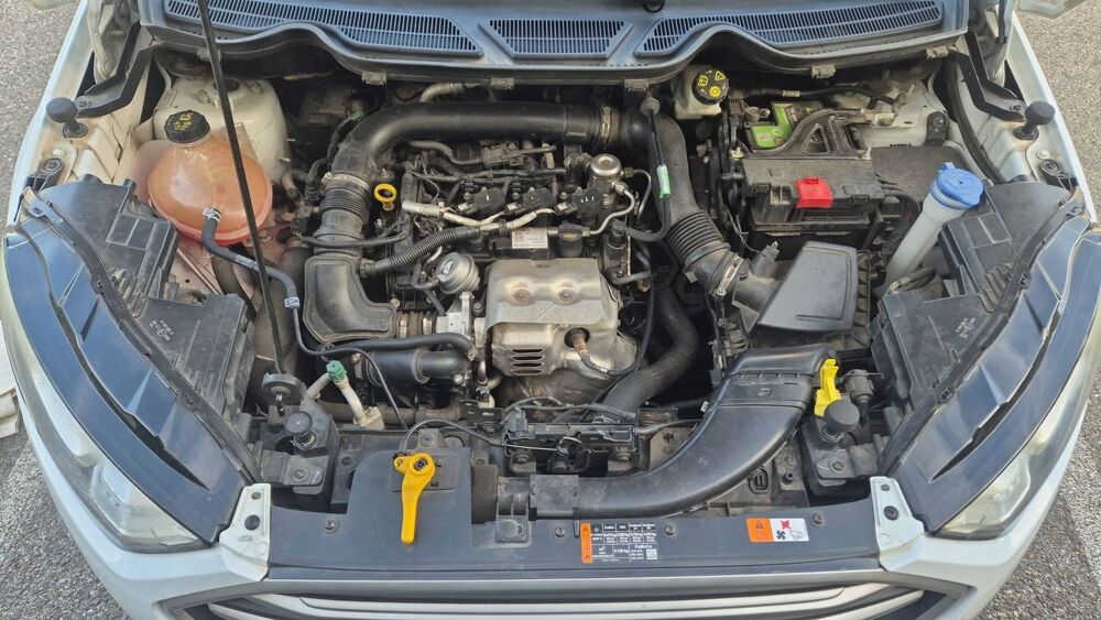 Ecosport 1.0 EcoBoost 125 Trend - Premi&egrave;re main 5 places 2018 occasion 20290 Lucciana