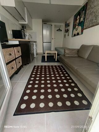  Appartement à louer 1 pièce 30 m²