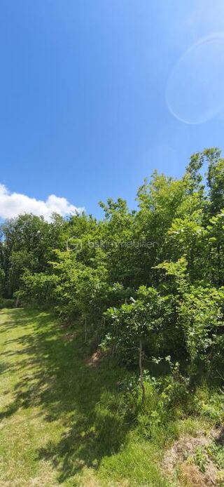  Terrain à vendre 1760 m²
