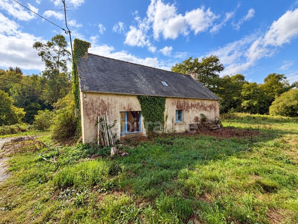 Vente Maison EXCLUSIVITÉ - TREBRIVAN - Maison avec terrain de plus de 2 hectares et dépendances à vendre 5 pièces  (22) Trebrivan