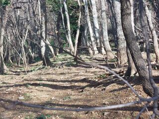  Terrain � vendre 1361 m�