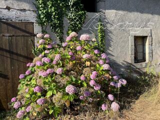  Maison � vendre 4 pi�ces 300 m�