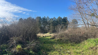  Terrain � vendre 11581 m�