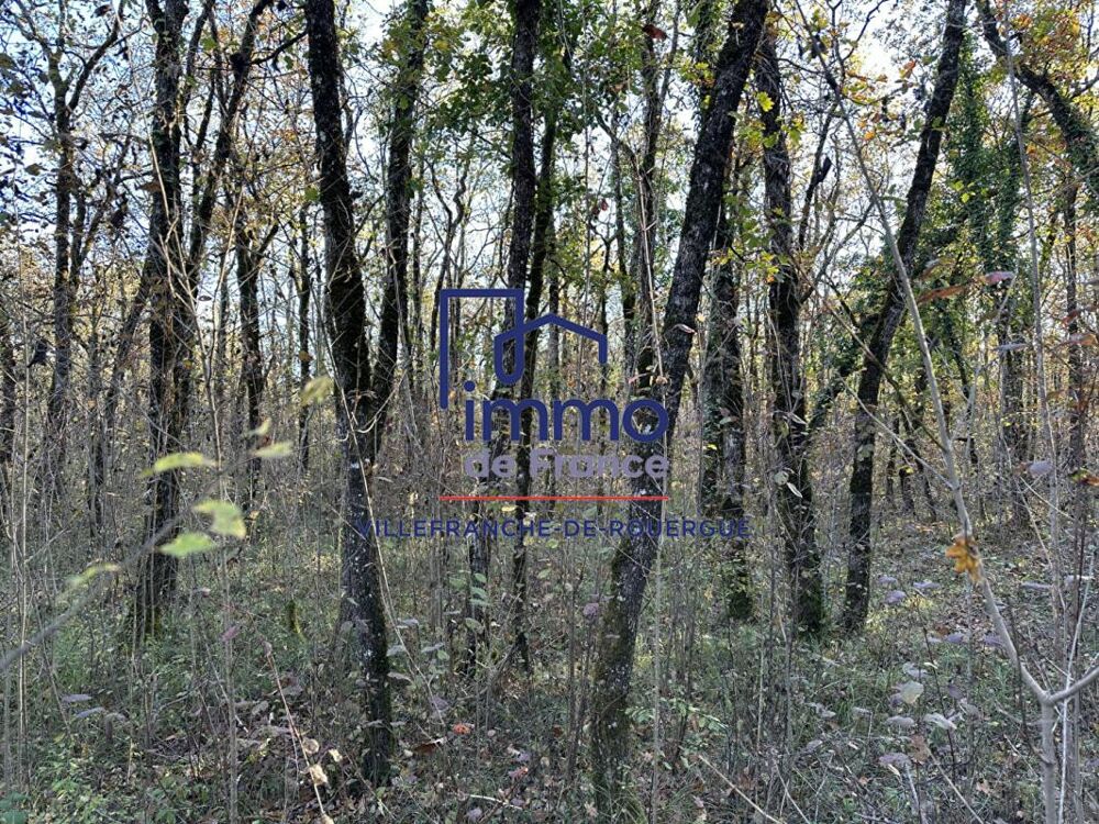 Vente Terrain Savignac, terrain à bâtir viabilisé 7 278 m2 Savignac