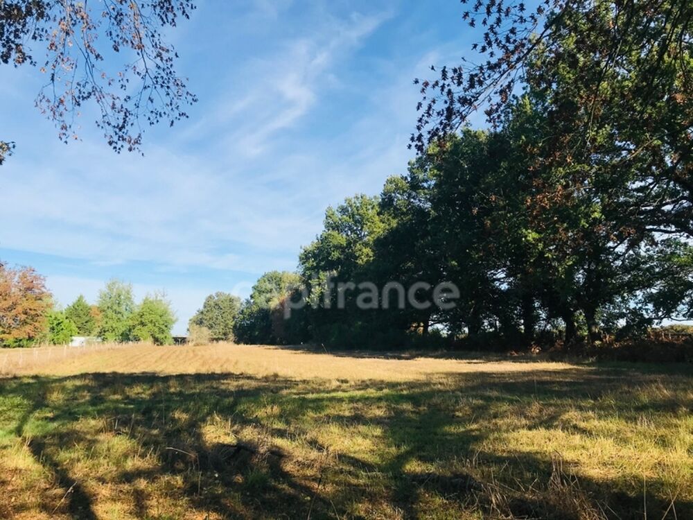 Vente Terrain Dpt Cher (18), à vendre LE CHAUTAY terrain constructible 1 hectare Le chautay