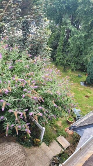  Immeuble  vendre 7 pices 225 m