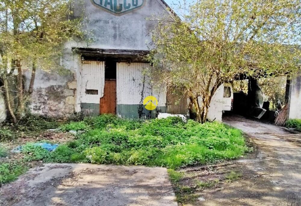 Maison 3678 m² de terrain