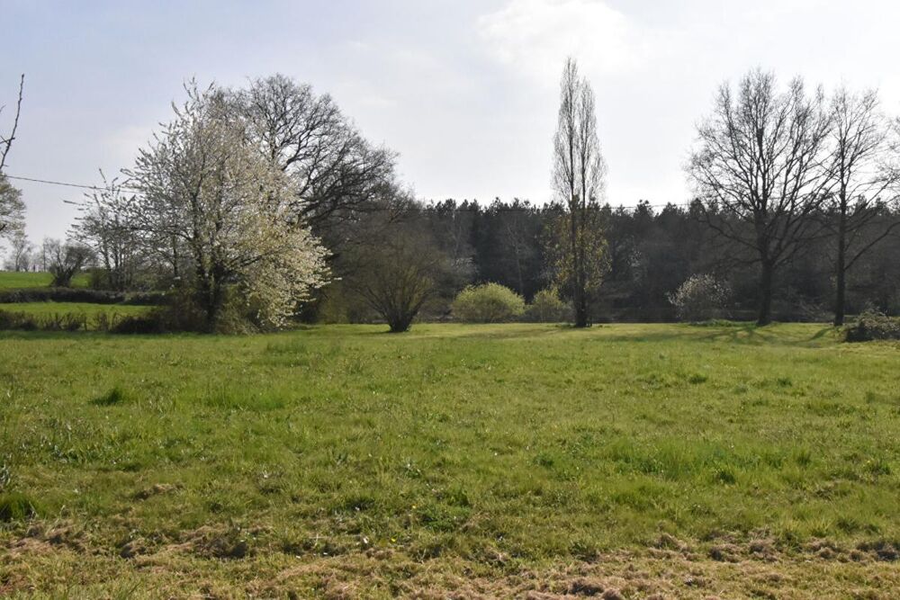 Vente Terrain Terrain de loisirs La Plaine La plaine
