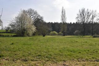  Terrain à vendre 11556 m²