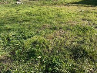  Terrain  vendre 441 m