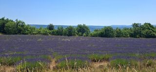  Maison � vendre 3 pi�ces 45 m�