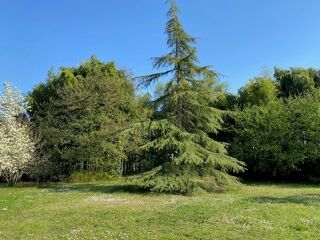  Terrain à vendre 550 m²
